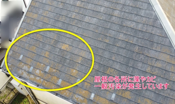 <br />
<b>Warning</b>:  Undefined variable $acfPreImg in <b>/home/partner02/totsukatosou.com/public_html/wp-content/themes/ikeda/single-case.php</b> on line <b>165</b><br />
<br />
<b>Warning</b>:  Trying to access array offset on value of type null in <b>/home/partner02/totsukatosou.com/public_html/wp-content/themes/ikeda/single-case.php</b> on line <b>165</b><br />

