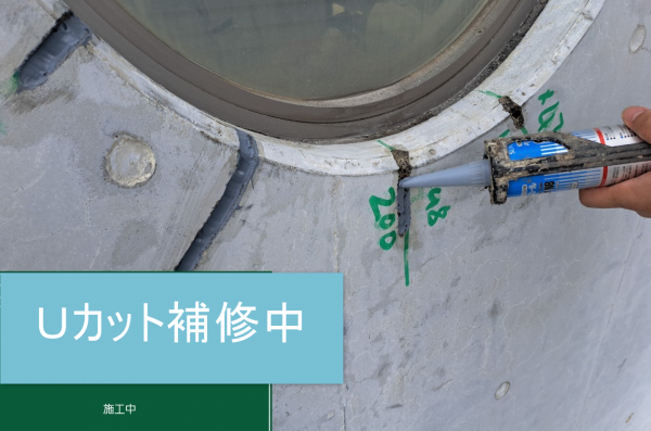 <br />
<b>Warning</b>:  Undefined variable $acfPreImg in <b>/home/partner02/totsukatosou.com/public_html/wp-content/themes/ikeda/single-case.php</b> on line <b>165</b><br />
<br />
<b>Warning</b>:  Trying to access array offset on value of type null in <b>/home/partner02/totsukatosou.com/public_html/wp-content/themes/ikeda/single-case.php</b> on line <b>165</b><br />
