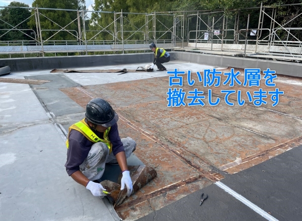 <br />
<b>Warning</b>:  Undefined variable $acfPreImg in <b>/home/partner02/totsukatosou.com/public_html/wp-content/themes/ikeda/single-case.php</b> on line <b>165</b><br />
<br />
<b>Warning</b>:  Trying to access array offset on value of type null in <b>/home/partner02/totsukatosou.com/public_html/wp-content/themes/ikeda/single-case.php</b> on line <b>165</b><br />

