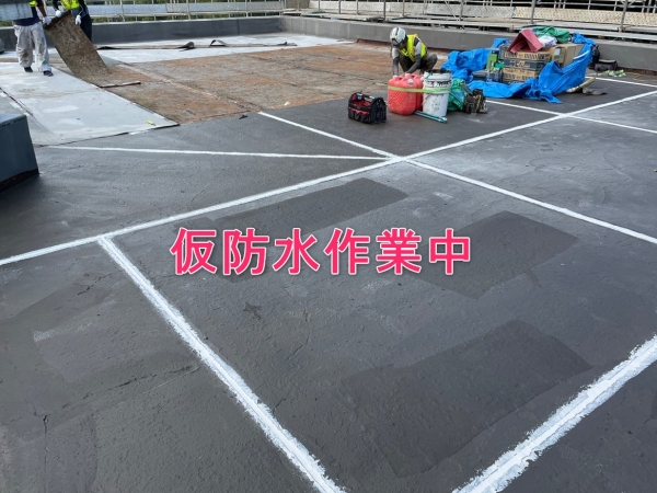 <br />
<b>Warning</b>:  Undefined variable $acfPreImg in <b>/home/partner02/totsukatosou.com/public_html/wp-content/themes/ikeda/single-case.php</b> on line <b>165</b><br />
<br />
<b>Warning</b>:  Trying to access array offset on value of type null in <b>/home/partner02/totsukatosou.com/public_html/wp-content/themes/ikeda/single-case.php</b> on line <b>165</b><br />
